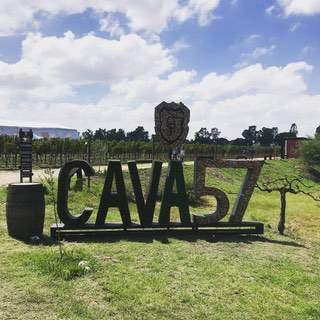 Cava 57 - Viñedos en todo México