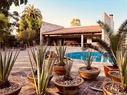 María & Bernardo Casa Viñedo - Viñedos en todo México