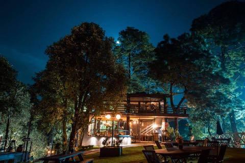 Orgánico Hotel Boutique - Posadas en Ciudad de México