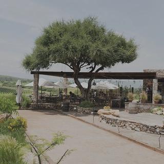 Puerta del Lobo - Viñedos en todo México