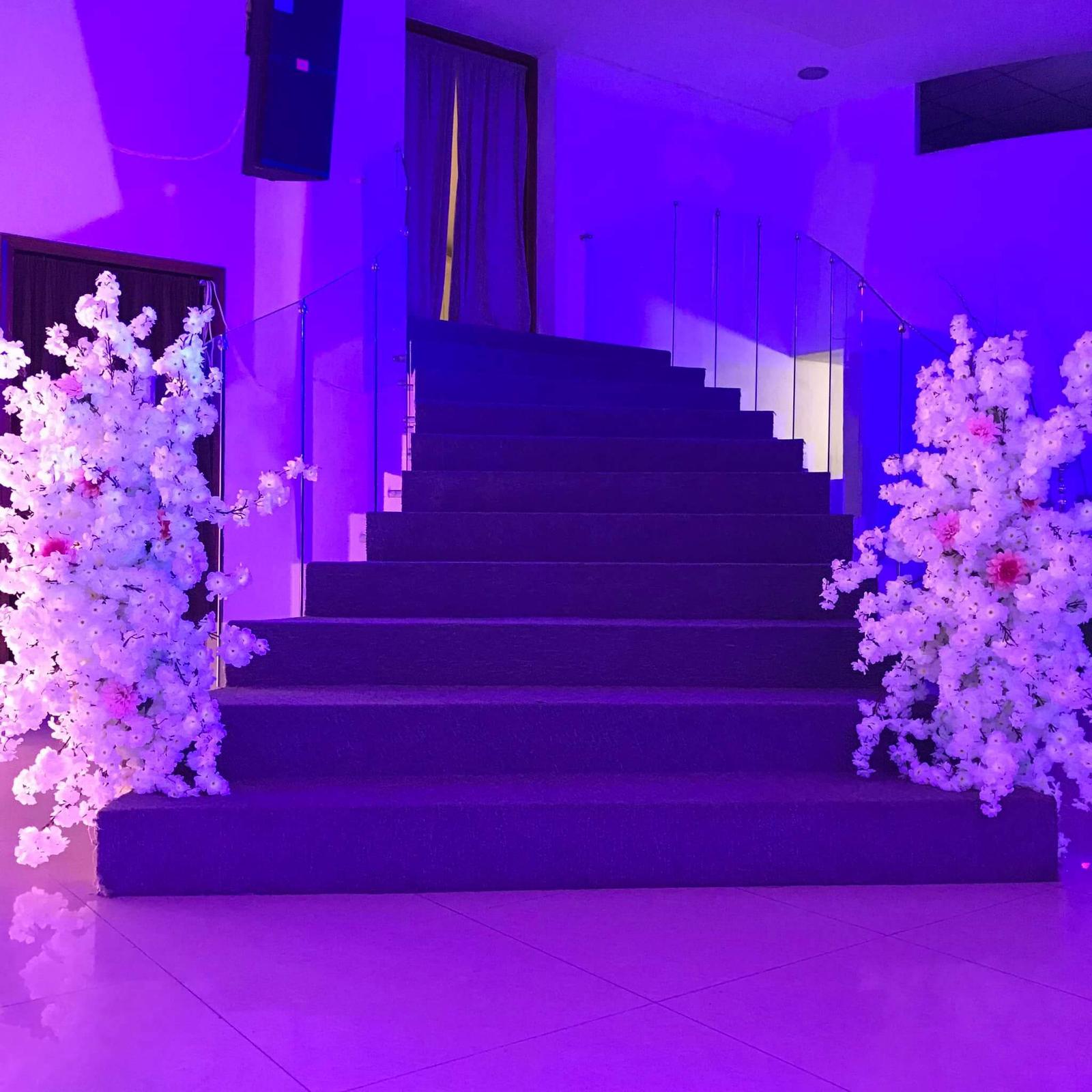 Emporio Eventos, Salones de eventos en Guadalupe — foto 3