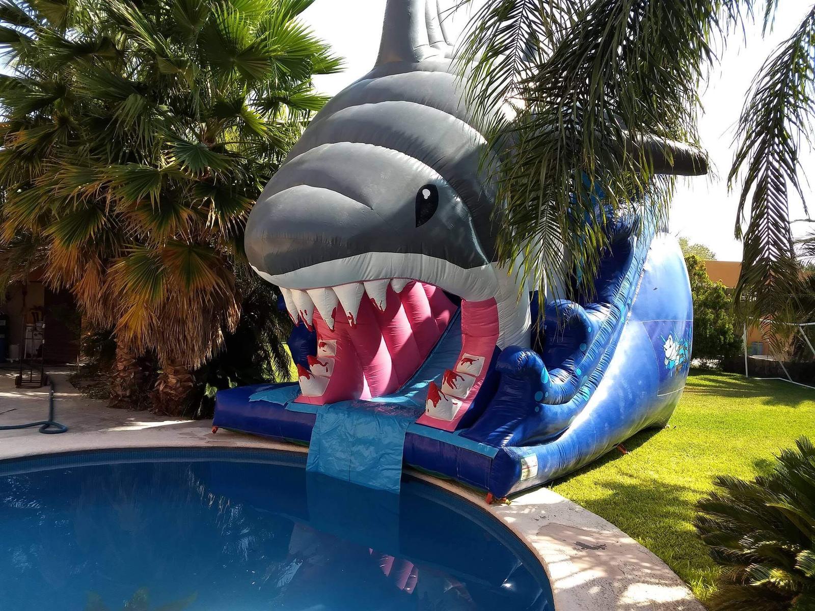 La Fiesta Atracciones, Renta de Inflables, brincolines y Juegos para Niños en Apodaca — foto 4