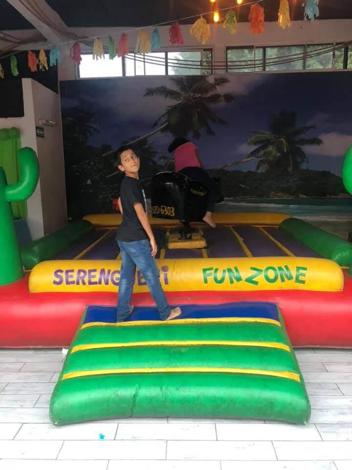 Lizzy, Renta de Inflables, brincolines y Juegos para Niños en Apodaca — foto 5