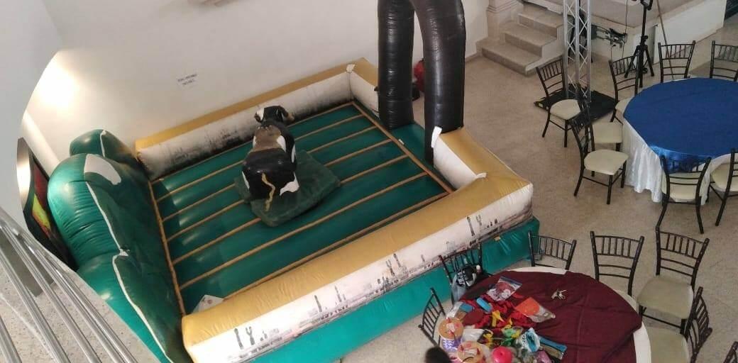 Infables y Producciones Sky, Renta de Inflables, brincolines y Juegos para Niños en Monterrey — foto 4