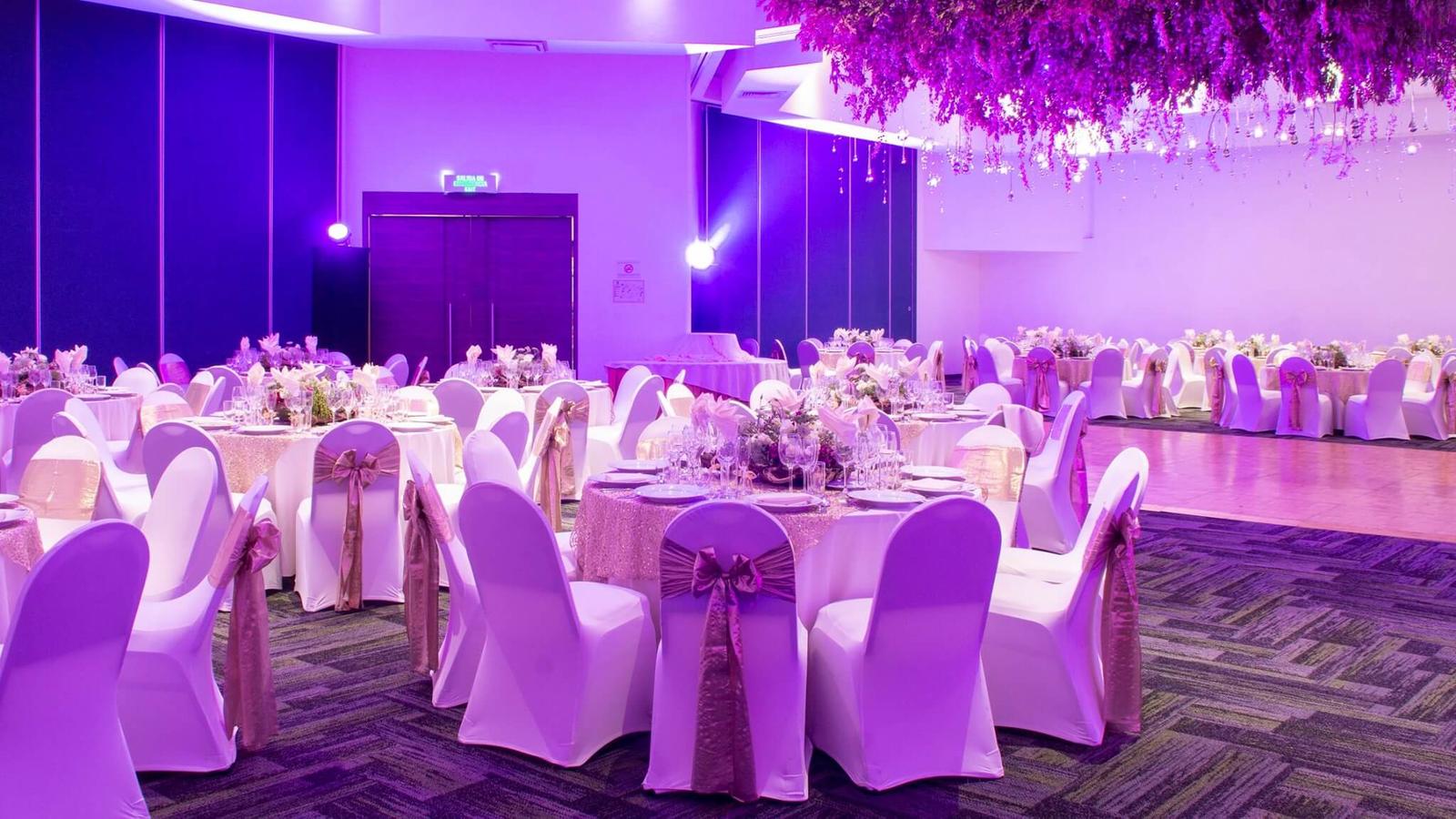 Hotel Holiday Inn México Dalí Airport, Hoteles para Eventos y Bodas en Venustiano Carranza — foto 3