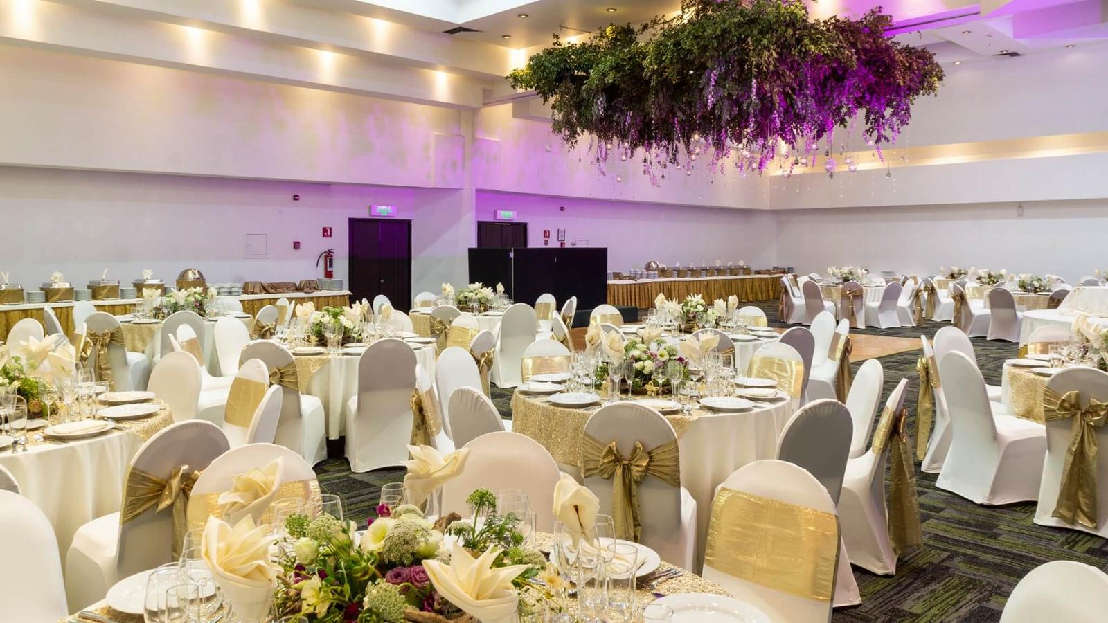 Hotel Holiday Inn México Dalí Airport, Hoteles para Eventos y Bodas en Venustiano Carranza — foto 6
