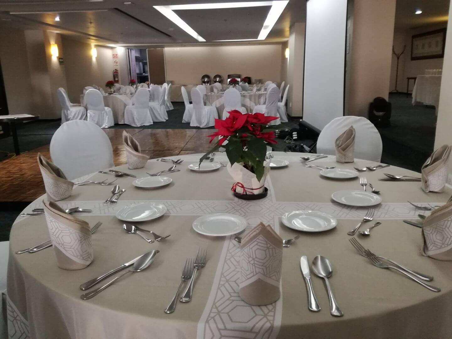Holiday Inn & Suites Zona Rosa, Hoteles para Eventos y Bodas en Cuauhtémoc — foto 6