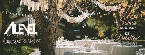 Alevel Producciones, Wedding Planner en Santiago de Querétaro — foto 4