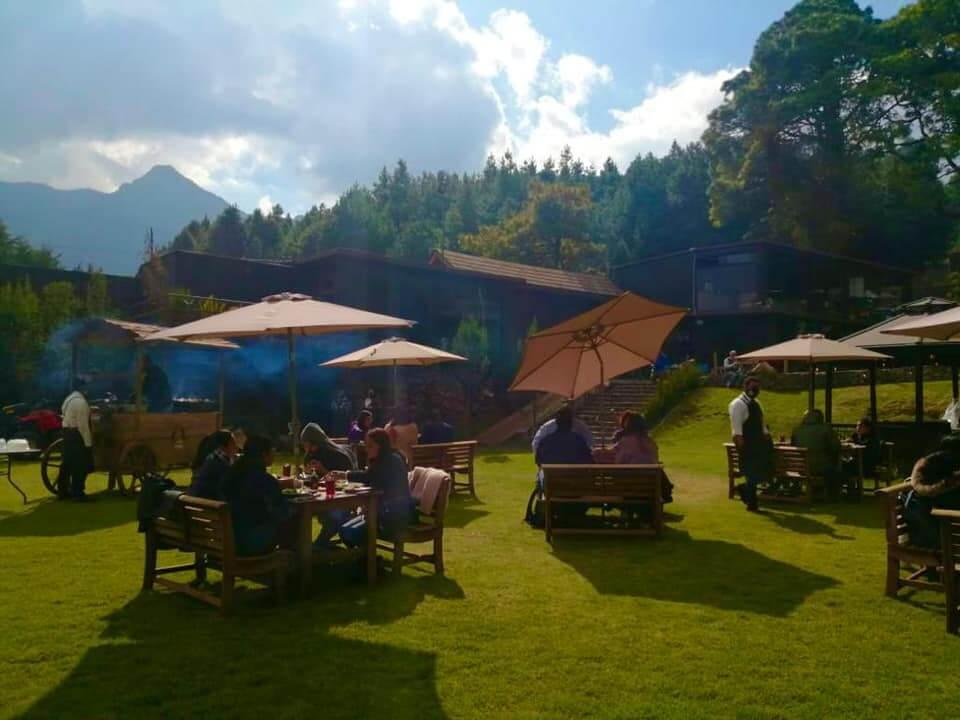 Orgánico Hotel Boutique, Hoteles para Eventos y Bodas en Tlalpan — foto 2