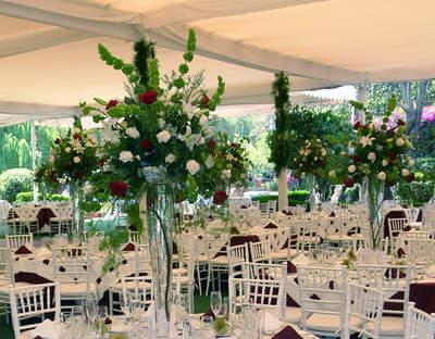 Lienzo Charro del Pedregal, Jardines de Eventos en Tlalpan — foto 3