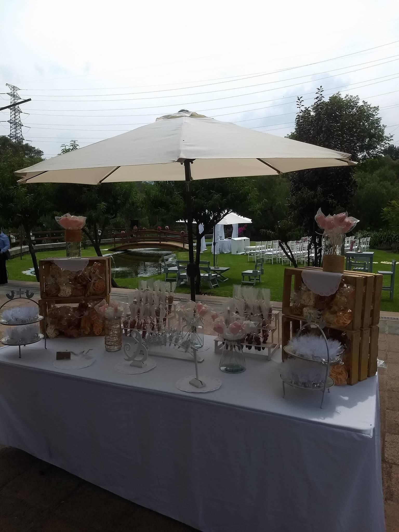 Protocolo Eventos, Jardines de Eventos en Tlalpan — foto 5