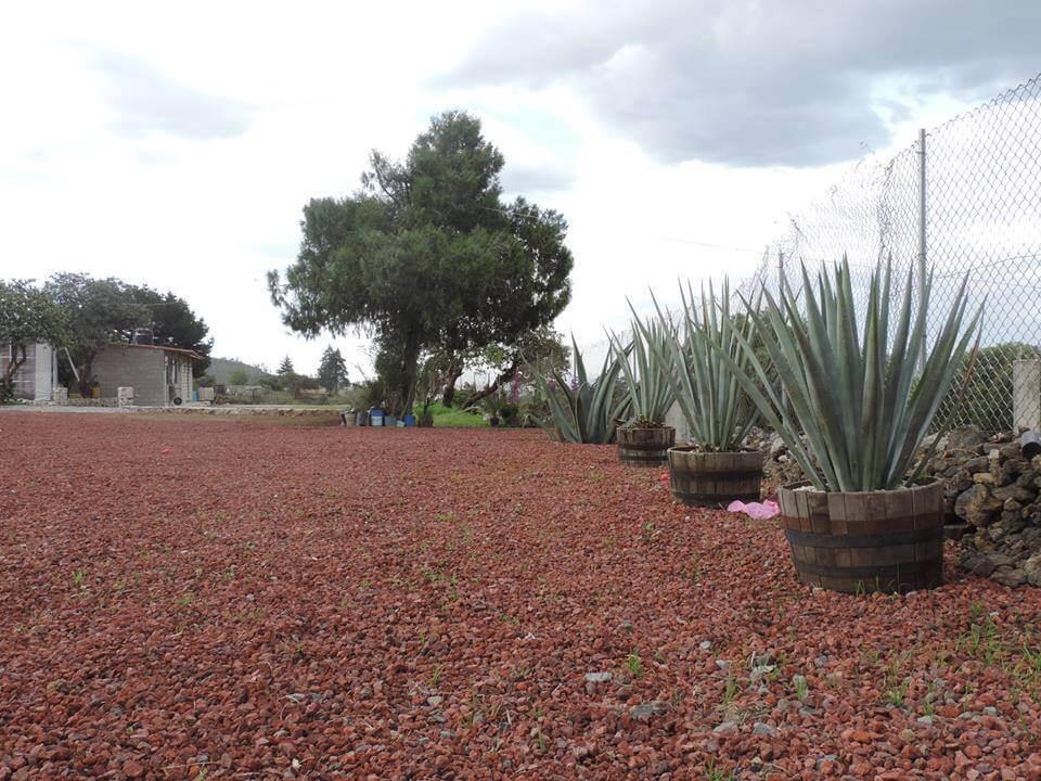 Jardín Finca Bonanza, Jardines de Eventos en Xochimilco — foto 5