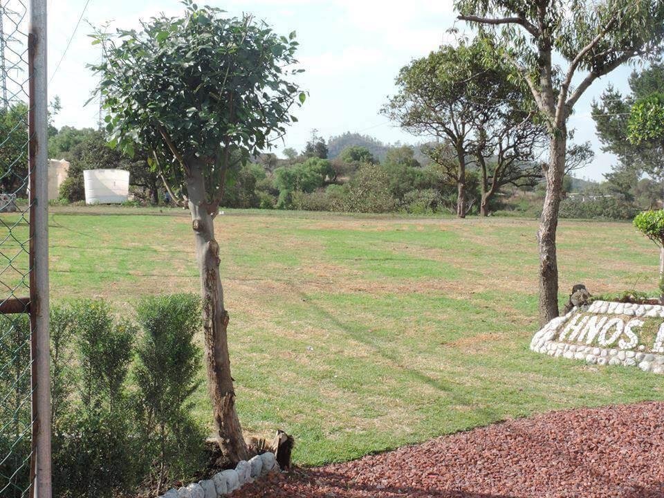 Jardín Finca Bonanza, Jardines de Eventos en Xochimilco — foto 6