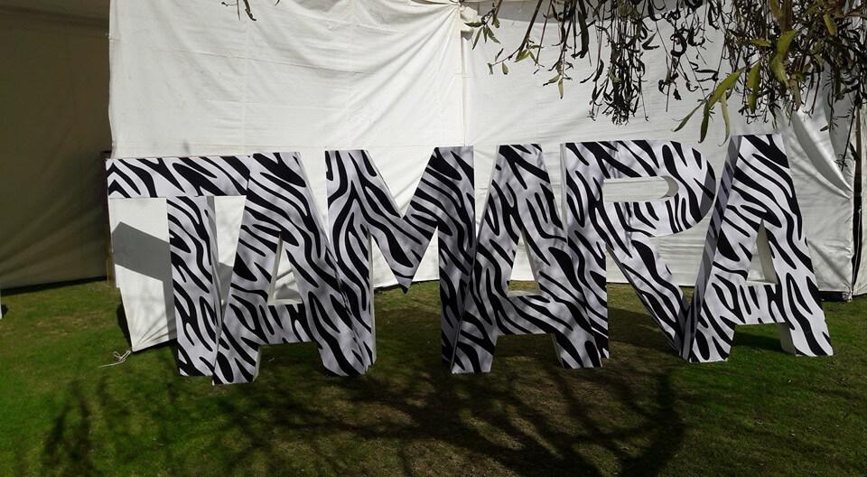 Letras Gigantes San Luis Potosí, Letras Gigantes en San Luis Potosí — foto 3