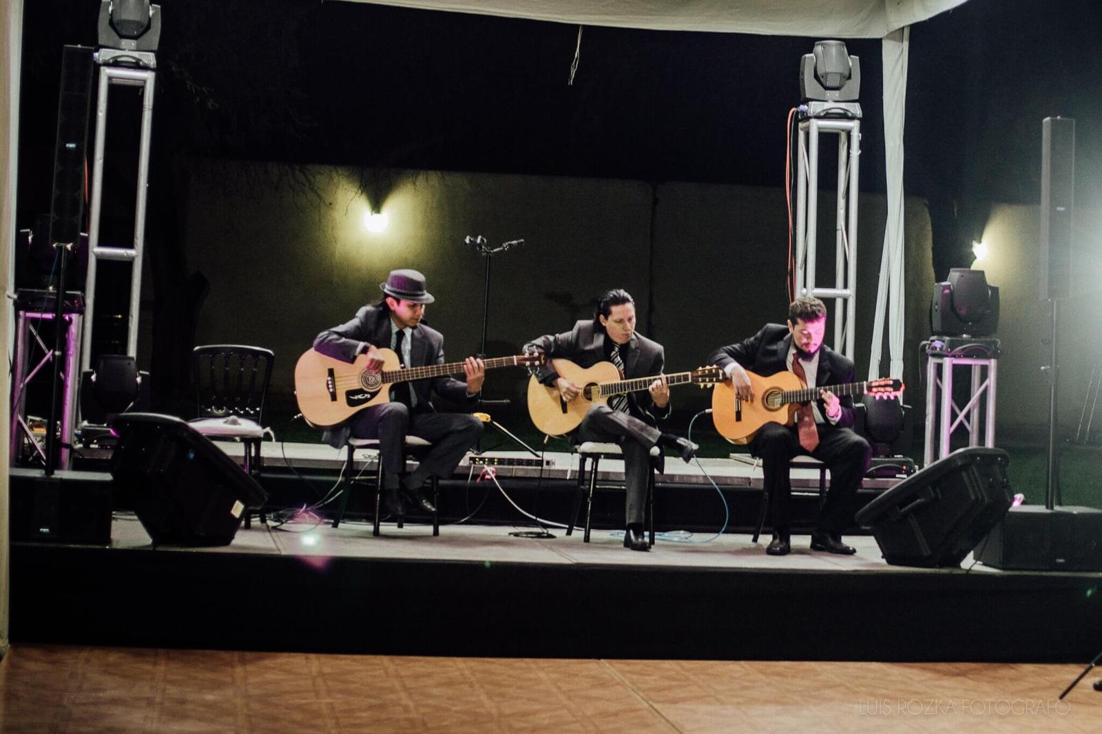 Canvas, Instrumental en San Luis Potosí — foto 5