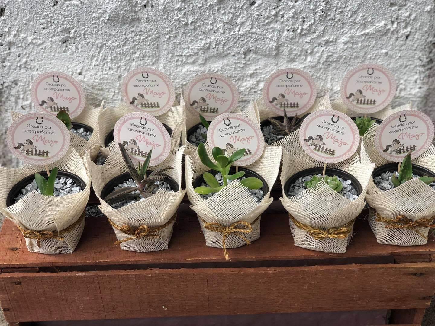 Recuerdo Suculentos, Recuerdos y Artículos personalizados en San Luis Potosí — foto 4