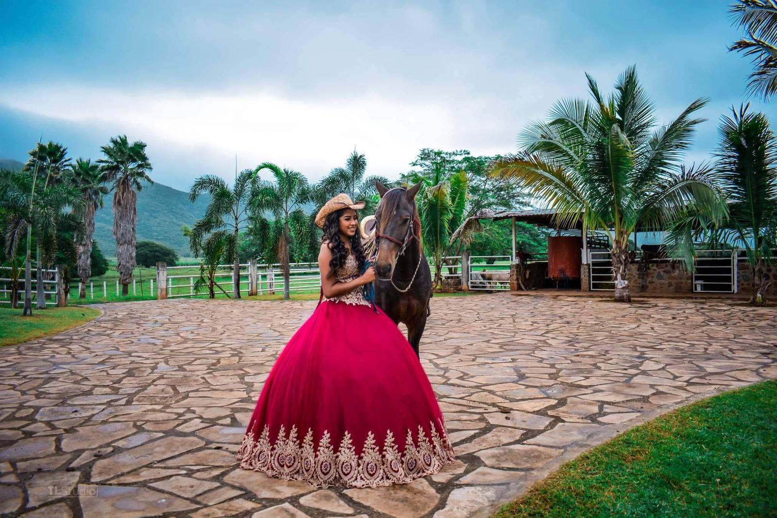 Almudena Novias, Vestidos en San Luis Potosí — foto 4