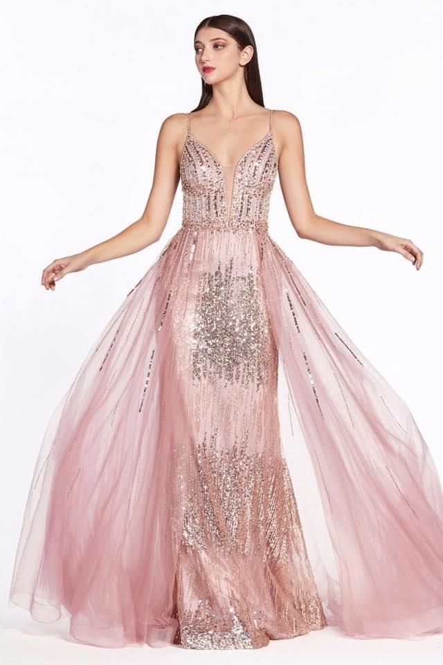 Euforia, Vestidos en San Luis Potosí — foto 6