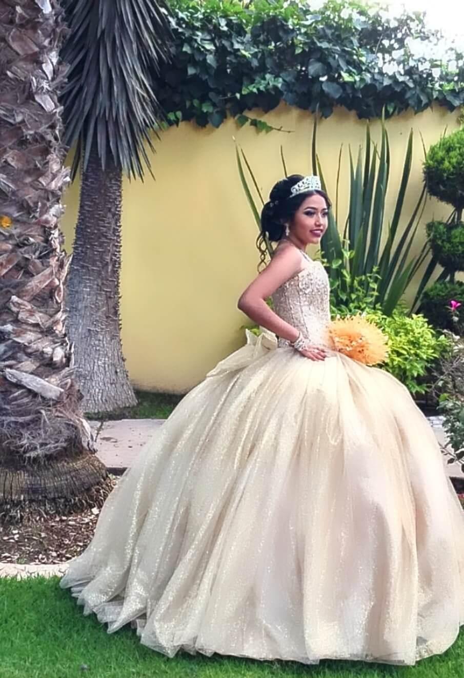 Arte y Diseño Nupcial, Vestidos en San Luis Potosí — foto 3
