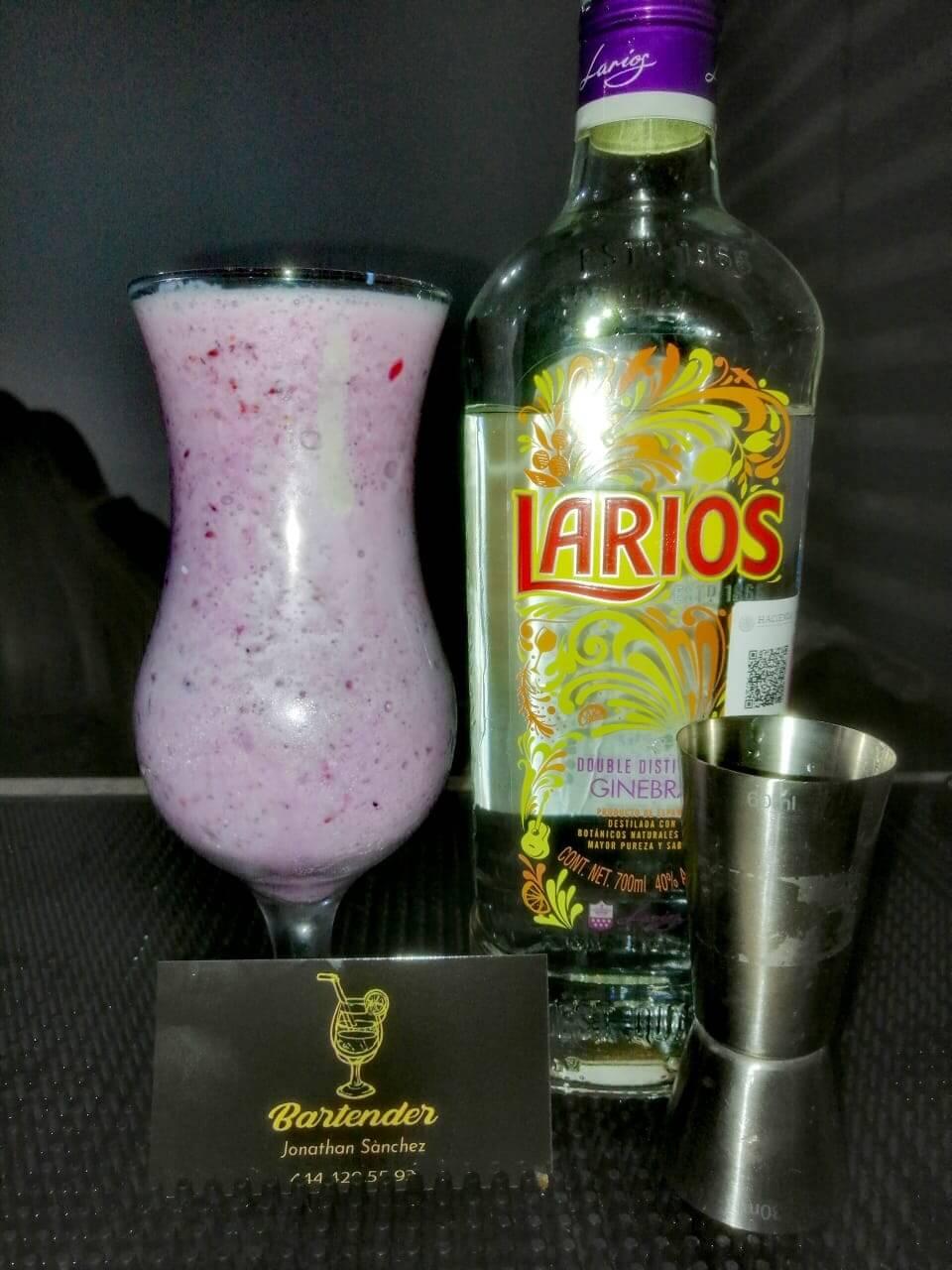 Bartender Jonathan Sanchez, Bebidas, Barmans y Coctelería en San Luis Potosí — foto 4