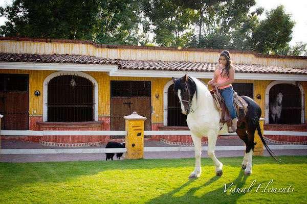 Estudio Visual Elements, Fotografía y video en Guadalajara — foto 3