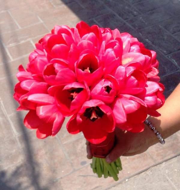 Floreria Amarilis, Centros de Mesa en San Luis Potosí — foto 2