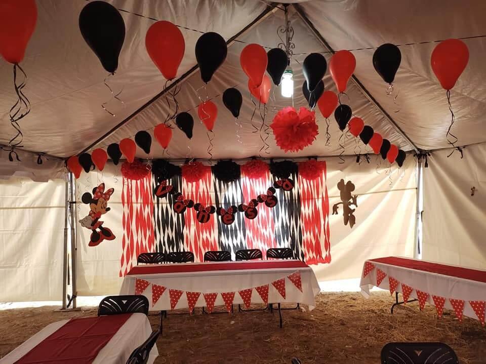Decoraciones Doris, Decoración del lugar en San Luis Potosí — foto 2