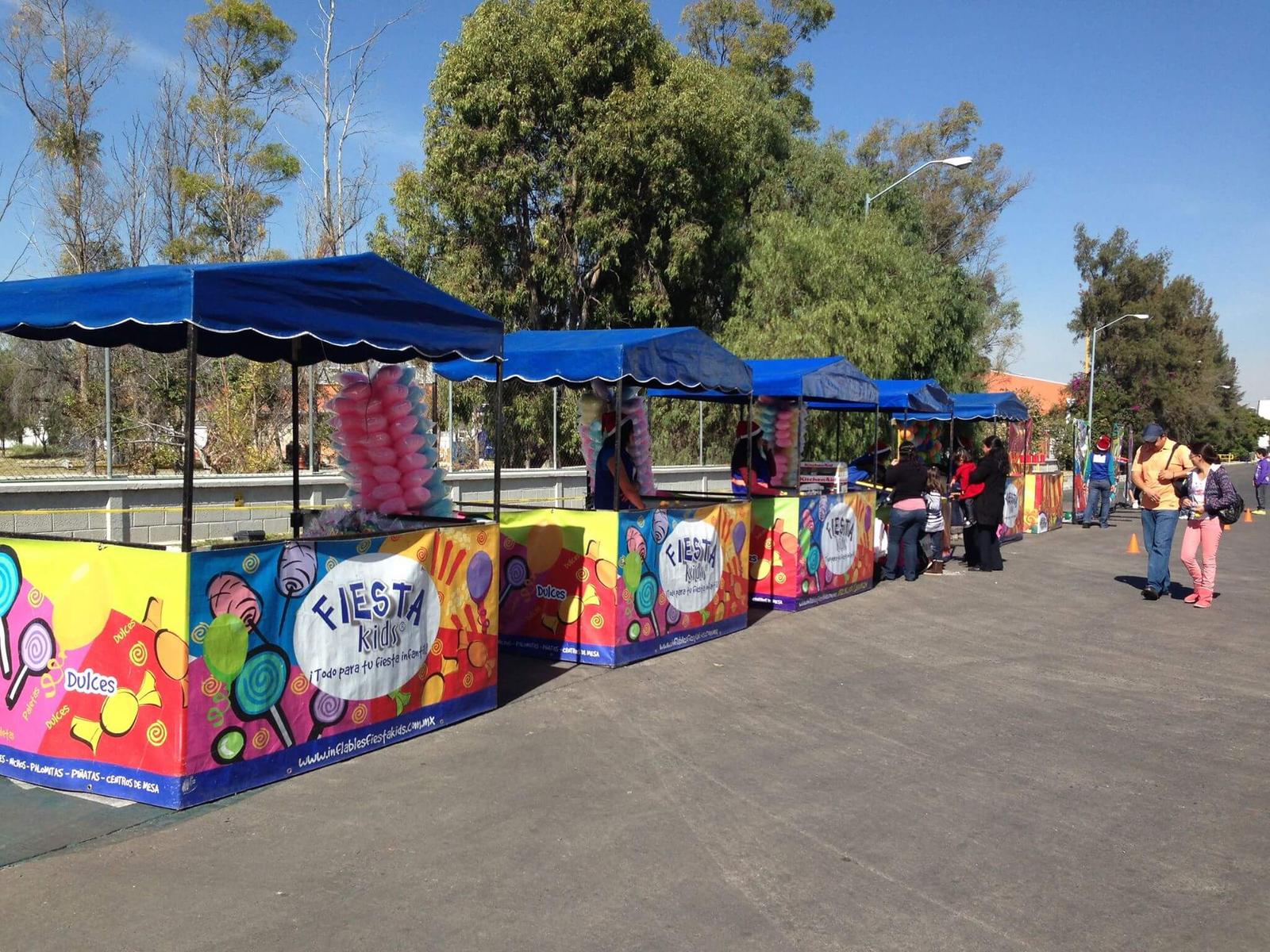 Fiesta Kids de Querétaro, Mecánicos en Santiago de Querétaro — foto 6