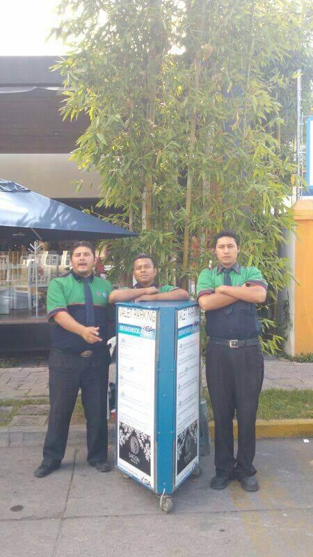 GAPSS Valet Parking SLP, Valet parking en San Luis Potosí — foto 3