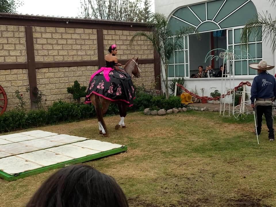 Salón Emi, Salones de eventos en Acolman — foto 4