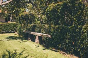 Huerta el Adobe, Jardines de Eventos en San Juan del Río — foto 6