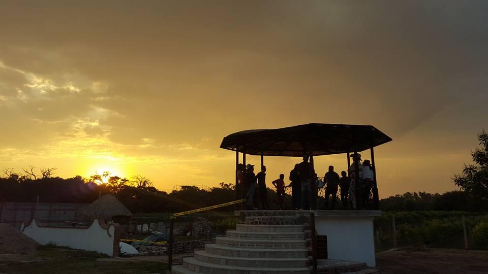 Viña TX, Viñedos en Tequisquiapan — foto 6