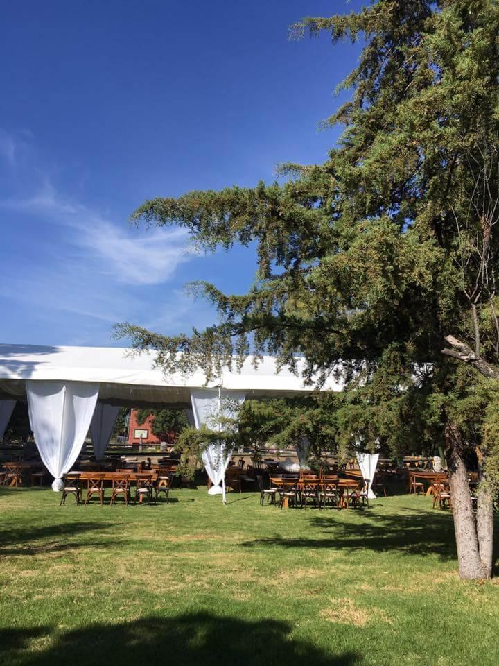 Rancho Santa Marina, Viñedos en El Marqués — foto 3