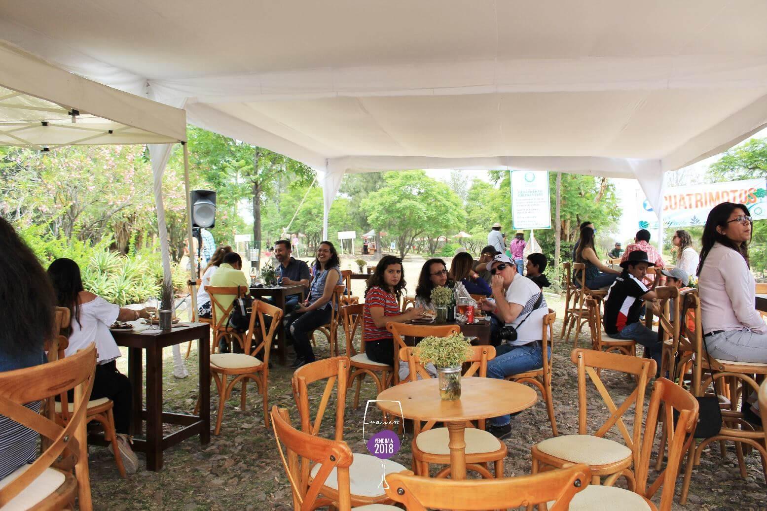 Bodegas Vaivén, Viñedos en Ezequiel Montes — foto 2