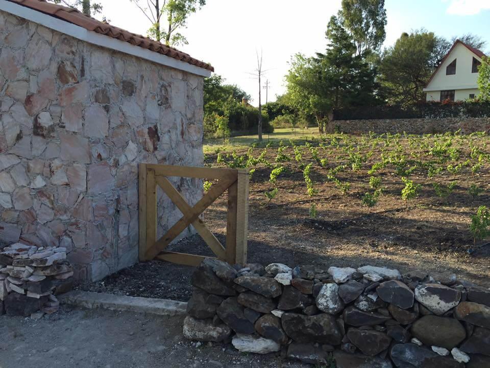 Bodegas Vaivén, Viñedos en Ezequiel Montes — foto 6