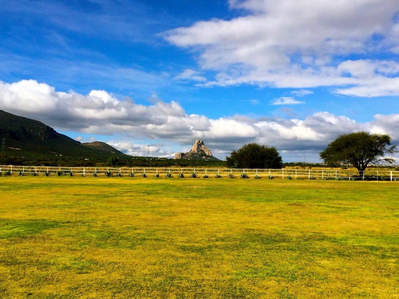 Rancho Guadalupe, Jardines de Eventos en Tequisquiapan — foto 2