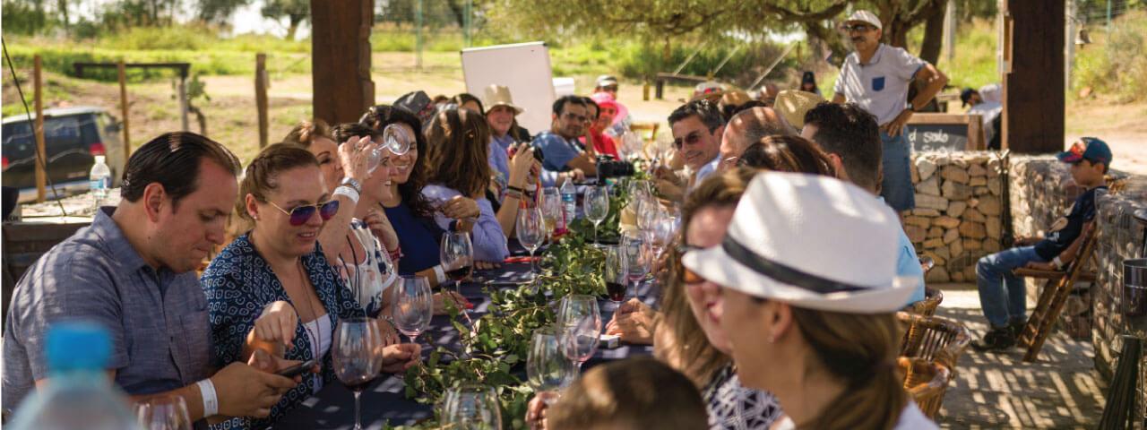 Cava 57, Viñedos en San Juan del Río — foto 3