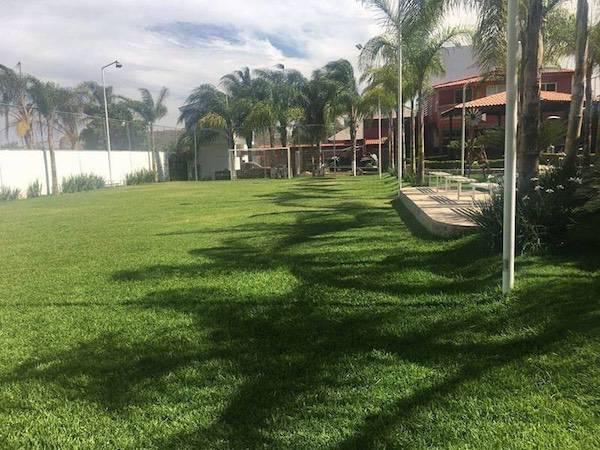 Terradente Quinta & Jardín, JAL, Jardines de Eventos en Zapopan — foto 5