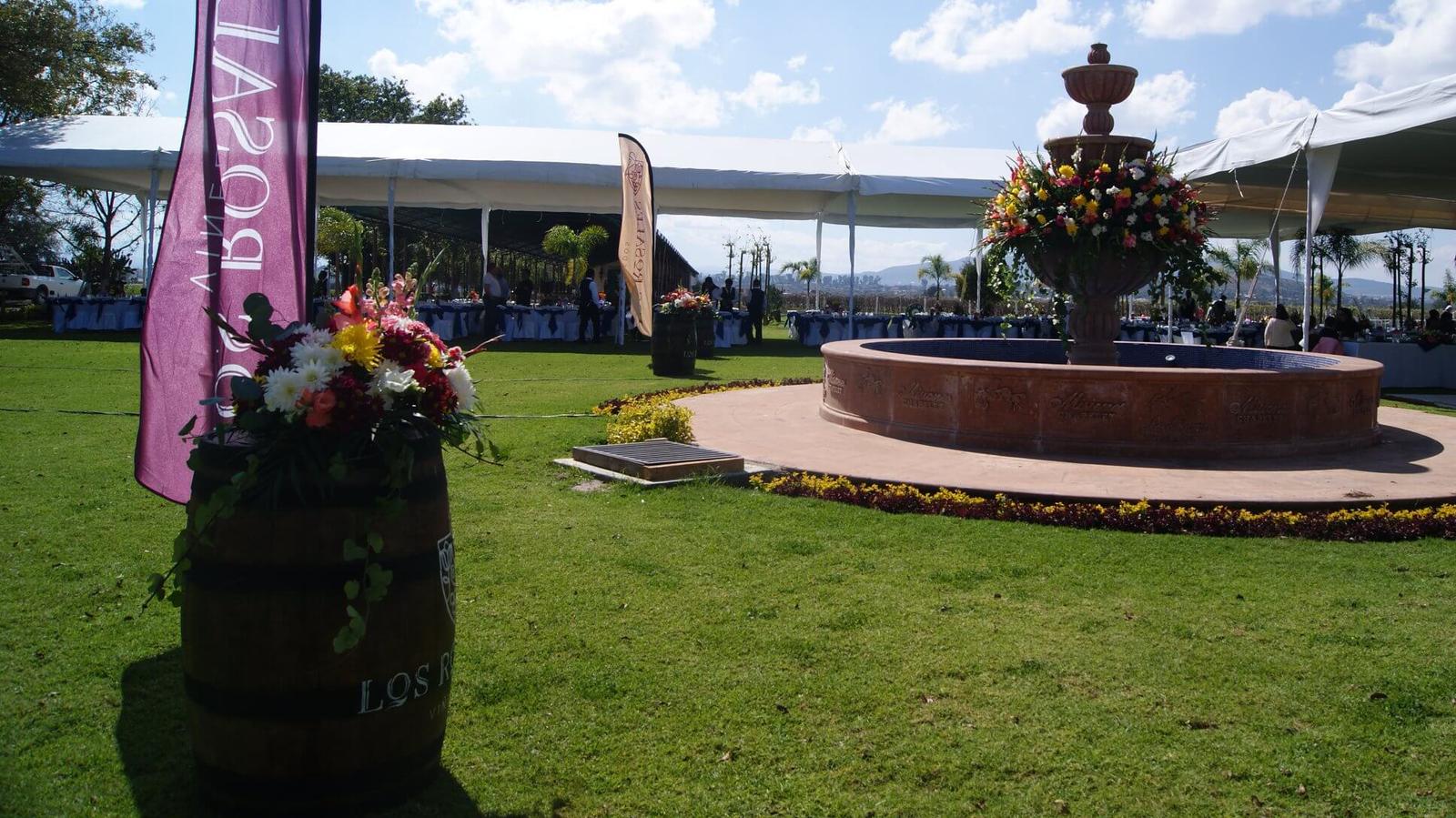 Viñedos Los Rosales, Viñedos en Tequisquiapan — foto 2