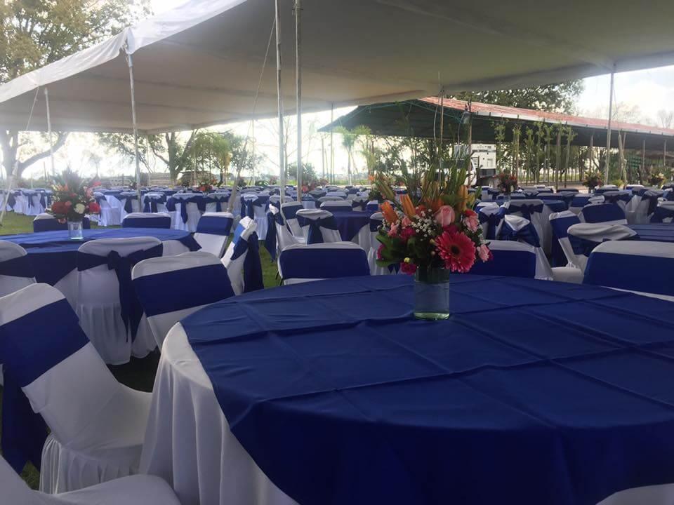 Viñedos Los Rosales, Viñedos en Tequisquiapan — foto 3