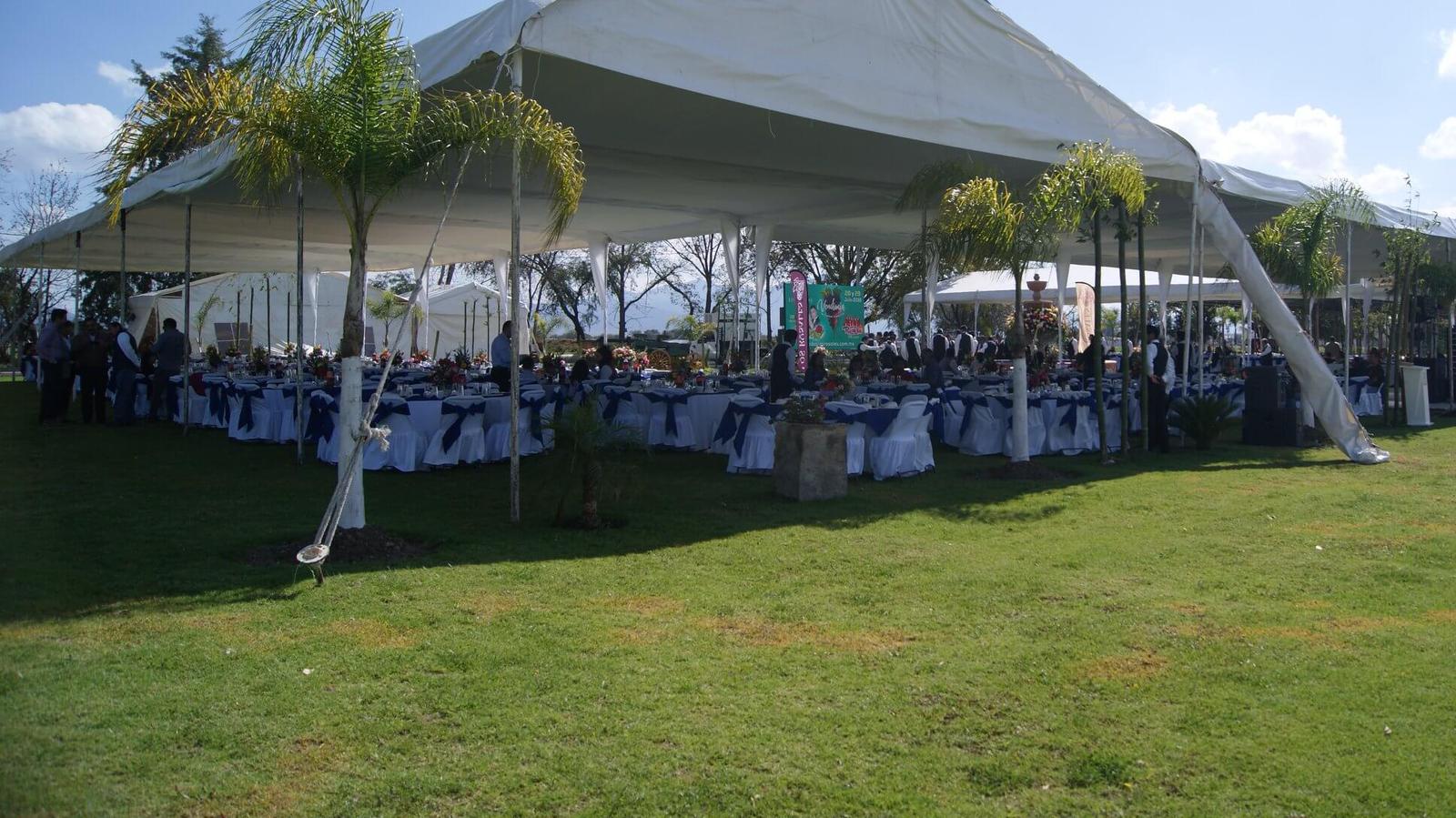 Viñedos Los Rosales, Viñedos en Tequisquiapan — foto 6