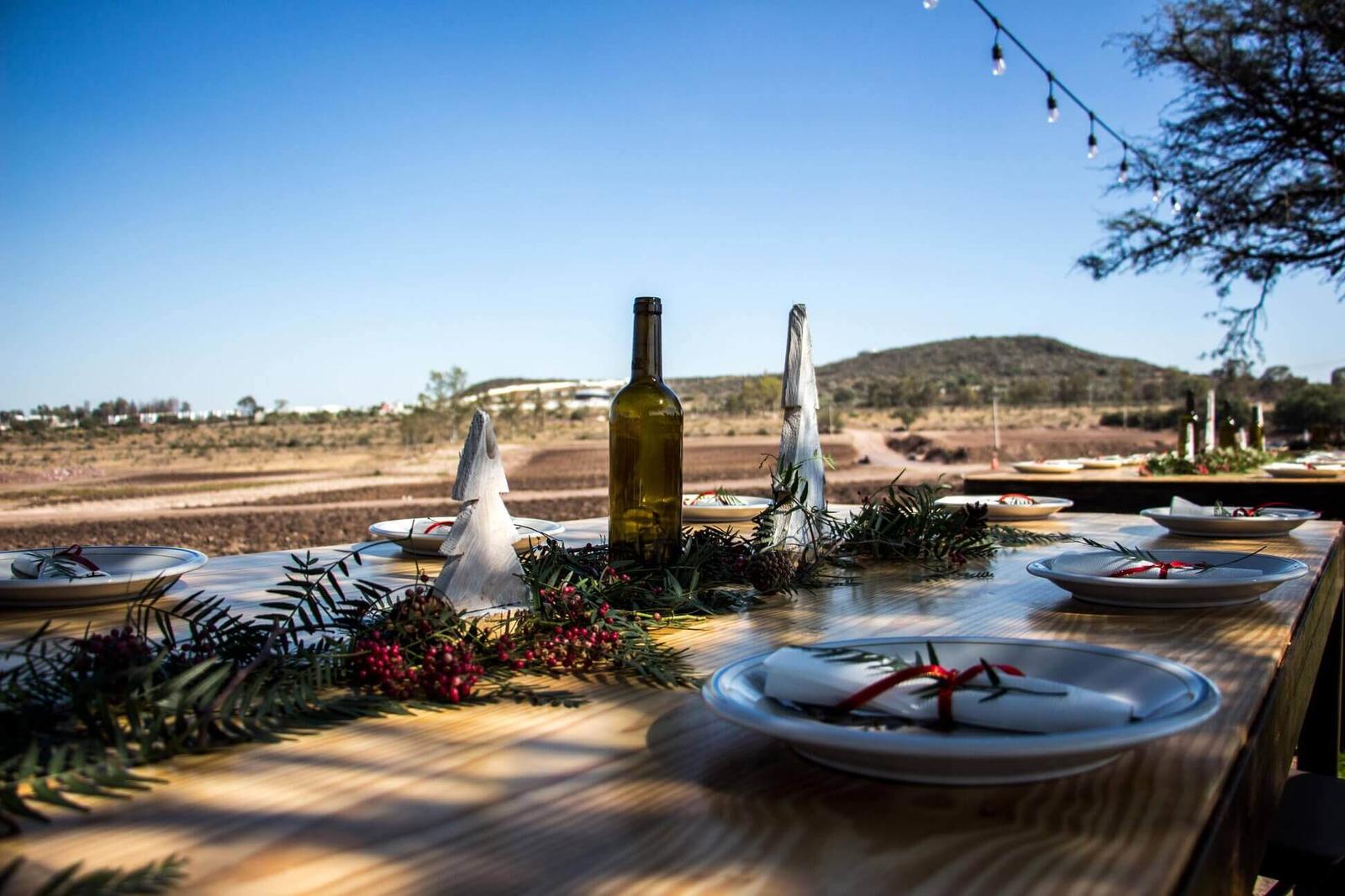 Finca Ancestra, Viñedos en El Marqués — foto 3