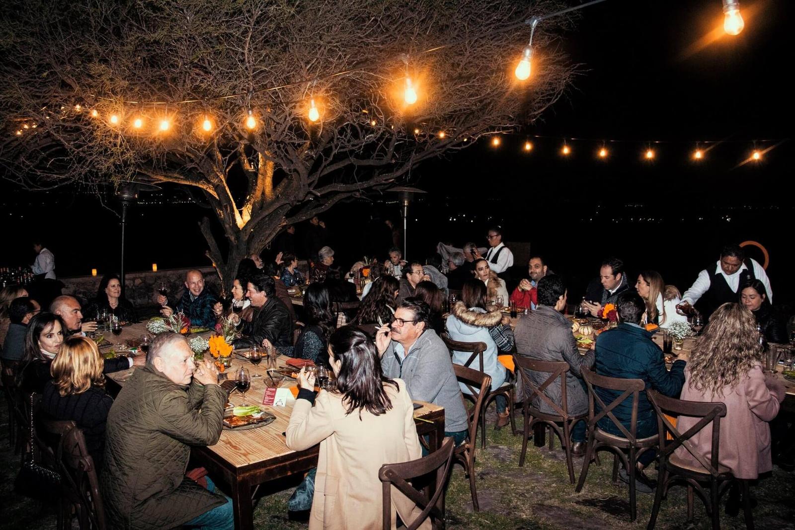 Finca Ancestra, Viñedos en El Marqués — foto 6