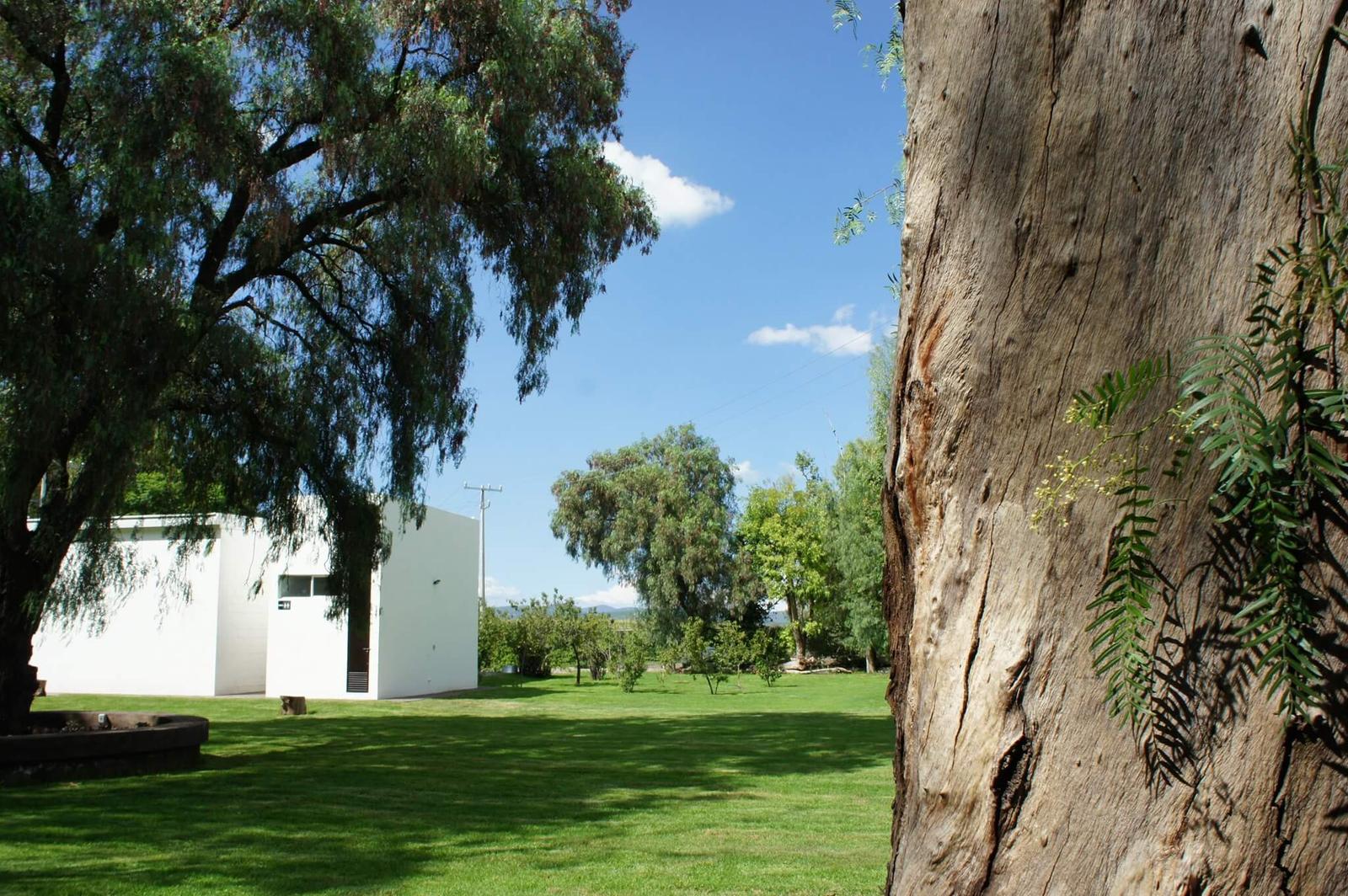 Finca San Sebastián, Jardines de Eventos en El Marqués — foto 2