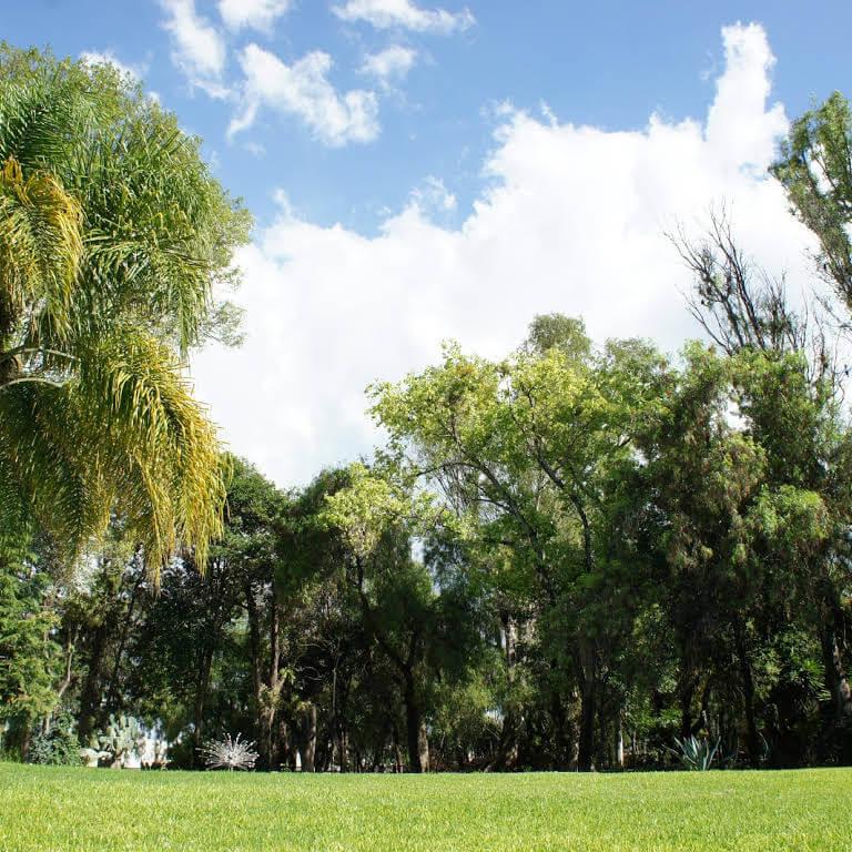 Finca San Sebastián, Jardines de Eventos en El Marqués — foto 4