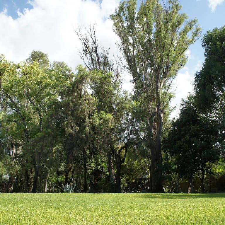 Finca San Sebastián, Jardines de Eventos en El Marqués — foto 6