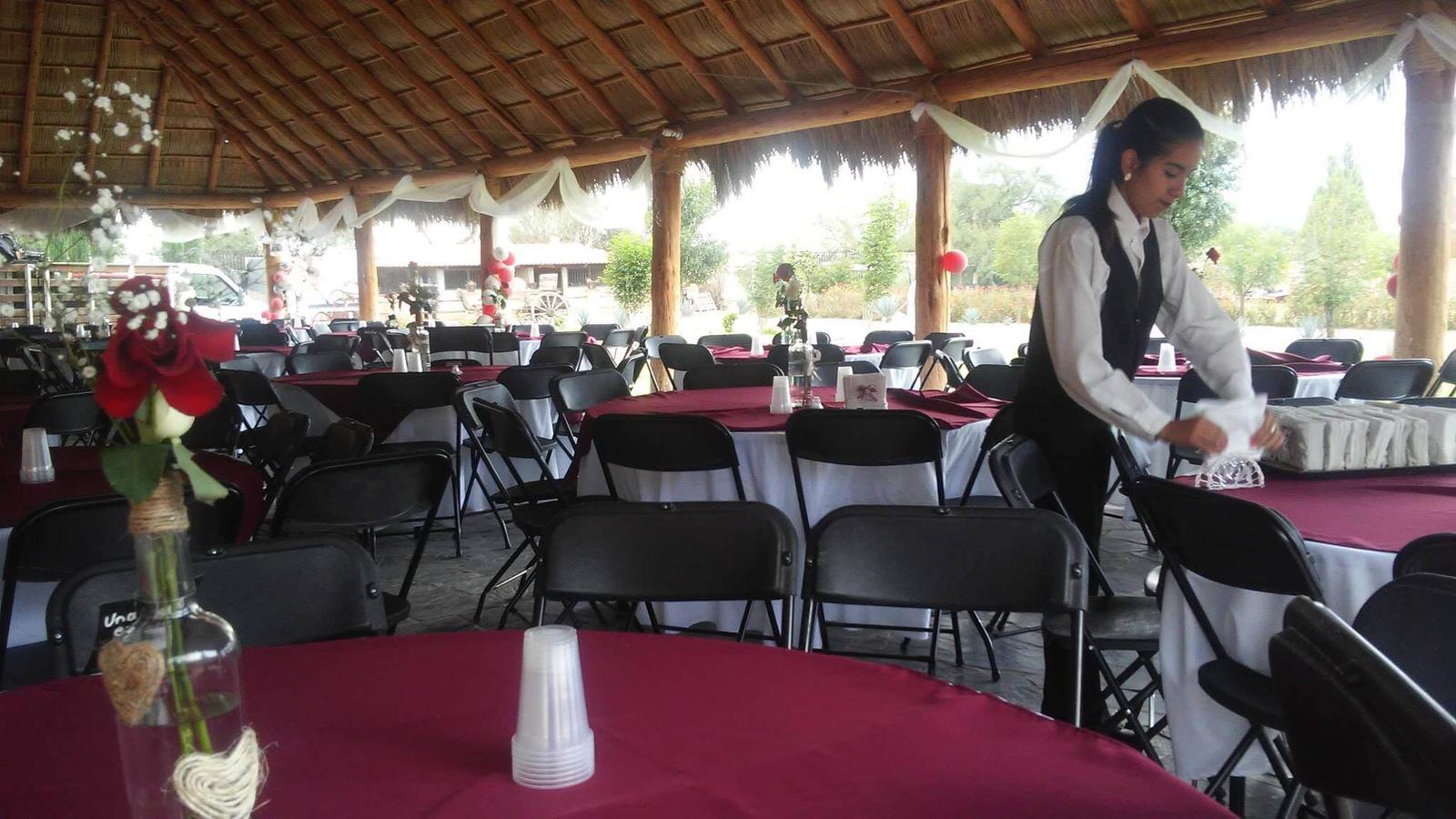 Meseros Nice, Meseros en Rincón de Romos — foto 4