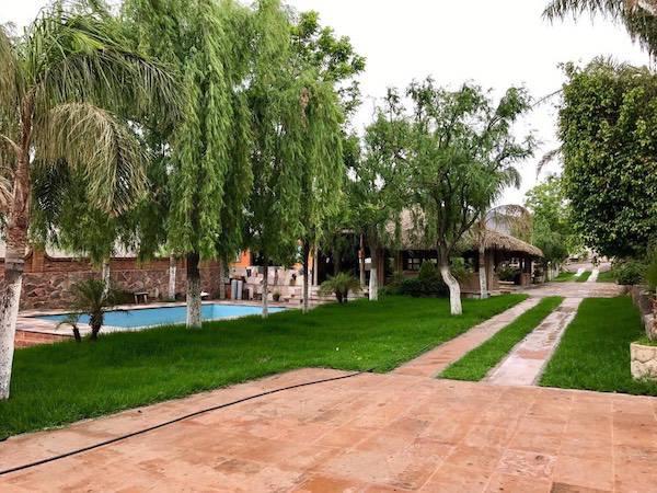 Palapa Meza, Jardines de Eventos en San Luis Potosí — foto 2