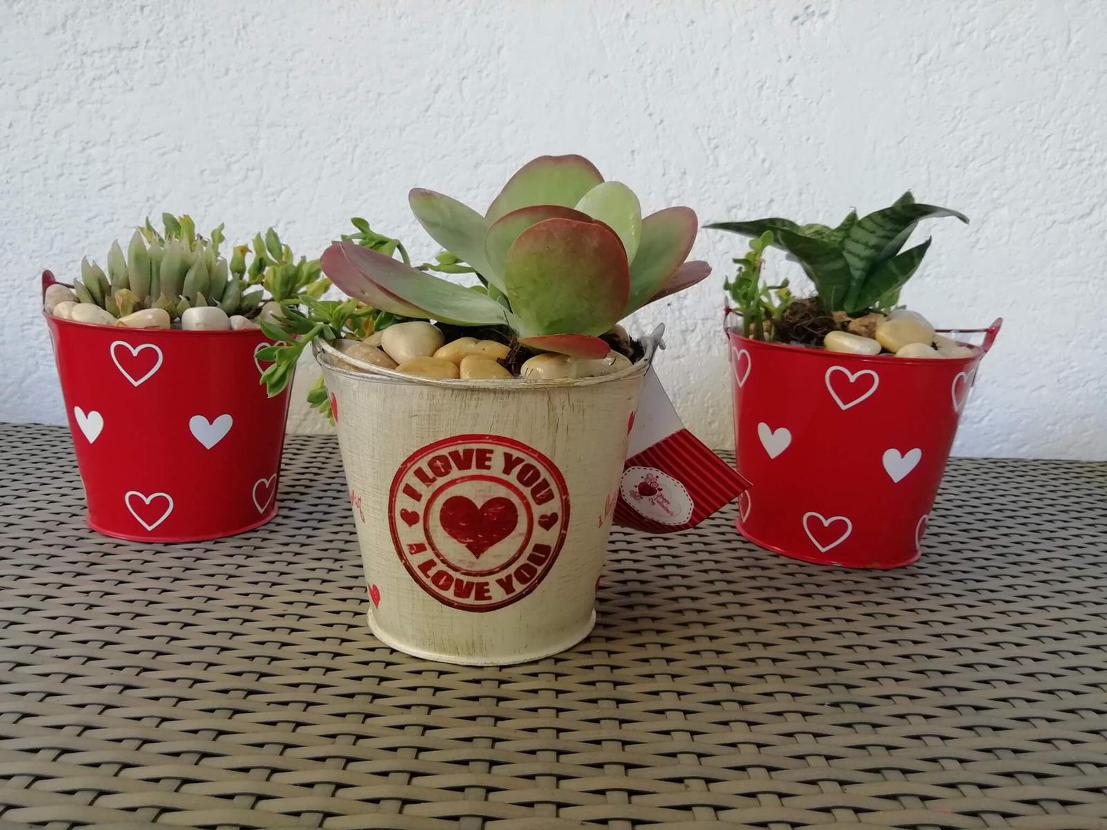 Dulce Momento, Mesa de dulces en Santiago de Querétaro — foto 5
