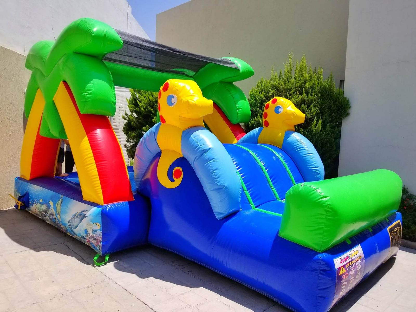 Renta Inflables AGS, Renta de Inflables, brincolines y Juegos para Niños en Aguascalientes — foto 3